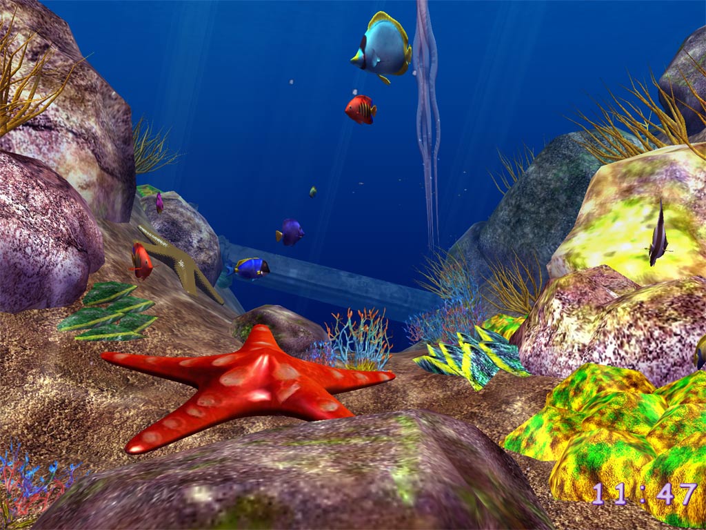 Nemo